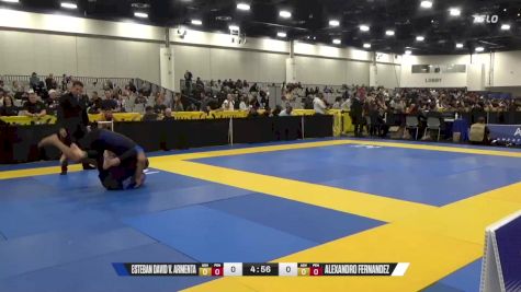 Alexandro Fernandez vs Esteban David V. Armenta 2024 World IBJJF Jiu-Jitsu No-Gi Championship