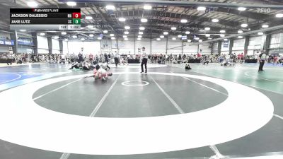 138 lbs Round Of 256 - Jackson Dalessio, MA vs Jake Lutz, SC
