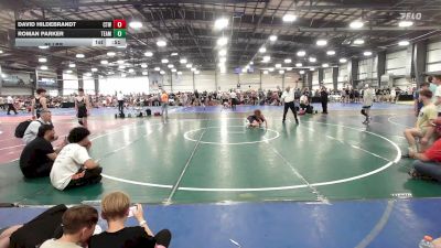 95 lbs Rr Rnd 3 - David Hildebrandt, CTWHALE Narwhal - MS vs Roman Parker, Team Dark Horse - MS