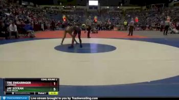 6A - 138 lbs Cons. Round 2 - Tre Swearinger, Lawrence vs Jay Soykan, Blue Valley