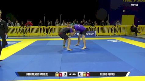 Gerard J Bosch vs Dilor Mendes Pacheco 2025 Pan IBJJF Jiu-Jitsu No-Gi Championship