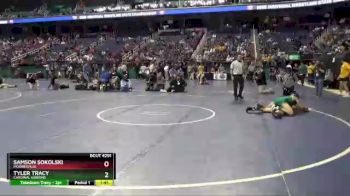 4A 138 lbs Semifinal - Samson Sokolski, Mooresville vs Tyler Tracy, Cardinal Gibbons