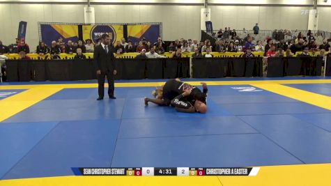 Christopher A Easter vs Sean Christopher Stewart 2024 World IBJJF Jiu-Jitsu No-Gi Championship