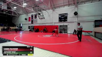 141 lbs Cons. Round 3 - Caden Talmadge, Sacramento City College vs Anthony Diaz, East Los Angeles College