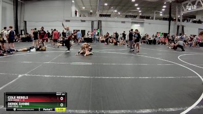 98 lbs Semis (4 Team) - Derek Danbe, Ohio Gold vs Cole Rebels, Iron Horse 1