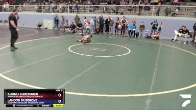 63 lbs Final - Ahonui Harcharek, Avalanche Wrestling Association vs Landon Musgrove, Soldotna Whalers Wrestling Club