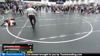113 lbs Champ. Round 2 - Taiivaughnn Walsh, KS vs Tyler Misenheimer, OK