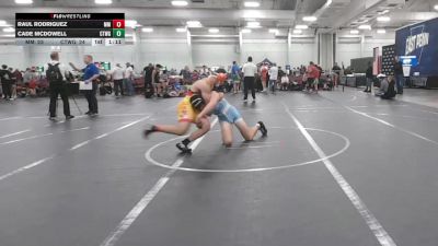 165 lbs Round 3 (10 Team) - Raul Rodriguez, Maryland Mallets vs Cade McDowell, CTWHALE Green