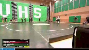 152 lbs Champ. Round 1 - Parham Salmani, Spring Valley vs Neil Anderson, Virgin Valley