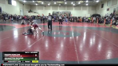 65 lbs Champ. Round 2 - Remington Richter, Grand Rapids Grapplers vs Mason Konczak, Forest Lake Wrestling Club