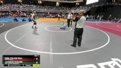 5A 144 lbs Quarterfinal - Cameron McGuire, Fort Worth Benbrook vs Harl (Talan) Ball, Georgetown