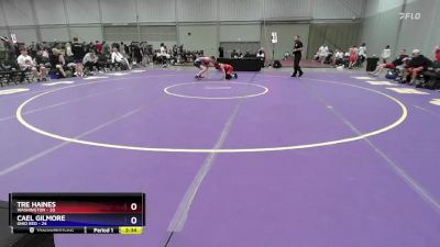 157 lbs Placement Matches (8 Team) - Tre Haines, Washington vs Cael Gilmore, Ohio Red