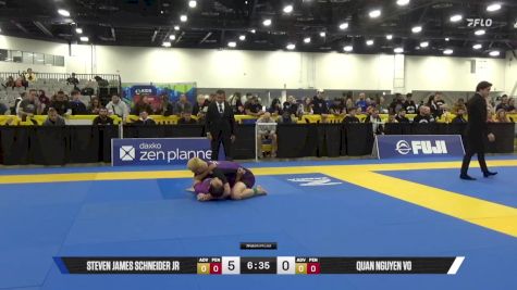 Quan Nguyen Vo vs Steven James Schneider Jr 2025 World IBJJF Jiu-Jitsu No-Gi Championship