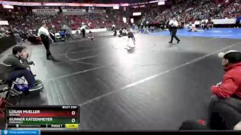 D2-106 lbs Semifinal - Gunner Katzenmeyer, Evansville vs Logan Mueller, Brillion