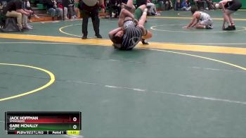 165 lbs Quarterfinal - Gabe McNally, Clay vs Jack Hoffman, Springboro