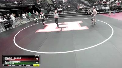 135 lbs Cons. Round 3 - Elijah Hoffman, Green Canyon vs Brooks Holshue, Mountain Ridge