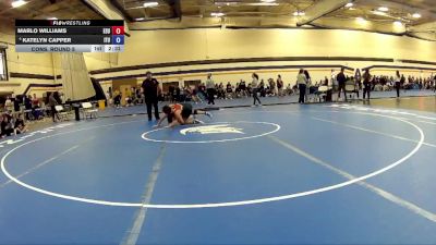 160 lbs Cons. Round 5 - Marlo Williams, East Stroudsburg University vs Katelyn Capper, Indiana Tech University