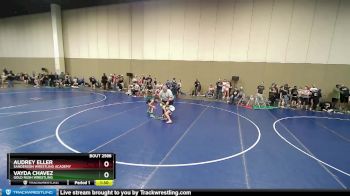 77 lbs Round 3 - Audrey Eller, Sanderson Wrestling Academy vs Vayda Chavez, Gold Rush Wrestling