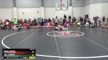 105 lbs Cons. Round 2 - Seli Jenkins, Chelsea Swarm Wrestling vs Miles Fekete, Assassins Wrestling