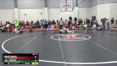 105 lbs Cons. Round 2 - Seli Jenkins, Chelsea Swarm Wrestling vs Miles Fekete, Assassins Wrestling