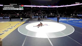 94 lbs Cons. Round 2 - Madeline Palulis, Salem-Cambridge-2 vs Anastazia Hale, Falconer-6