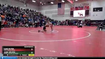 126 lbs Quarterfinal - Luke Ruter, New London-Spicer vs Gabe Nelson, Dassel-Cokato-Litchfield