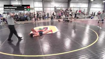 120 lbs Round 3 (8 Team) - Dominic Beale, Pinedale vs Vaden Skorgand, Skyview