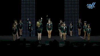 Cheer Extreme - Chicago - Fancy [2025 L1 Junior Day 1] 2025 ASC King of the Jungle Schaumburg Showdown
