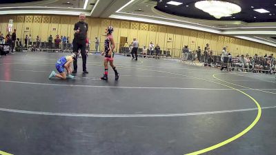 58 lbs Quarterfinal - Samantha Ham, Nebraska Wr Ac vs Raylin Pearson, Peterson Grapplers