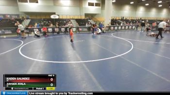 56 lbs Semifinal - Zayden Ayala, IA vs Kaiden Galindez, MI