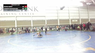 45 lbs Champ. Round 2 - Hayes Hardy, Box Elder Stingers vs Karson Schaugaard, Aviator Wrestling Academy