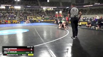 165 lbs Cons. Round 3 - Cory Peterson, McKendree vs Nolan Gessler, Tiffin