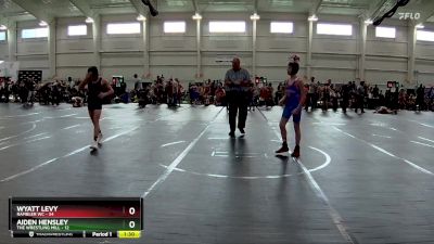 110 lbs Round 5 (10 Team) - Wyatt Levy, Rambler WC vs Aiden Hensley, The Wrestling Mill