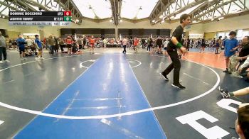 111 lbs Rr Rnd 6 - Dominic Bocchino, Apex - MSE vs Ashtin Terry, Nebraska Elite - MSE