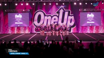 Fierce - Cheetahs [2025 L2 Junior - Small - C Day 2] 2025 One Up Grand Nationals