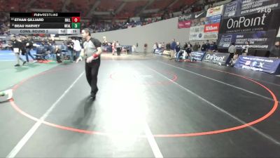 5A Boys 144 lbs Cons. Round 2 - Beau Harvey, West Albany Boys vs Ethan Gilliard, Dallas Boys