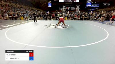 170 lbs Cons 16 #1 - Cheya Bishop, IL vs Lydia Heinrich, OH