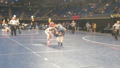 132 lbs Quarterfinal - Lydia Lentz, Sullivan County vs Caelan McElroy, Chestnut Ridge