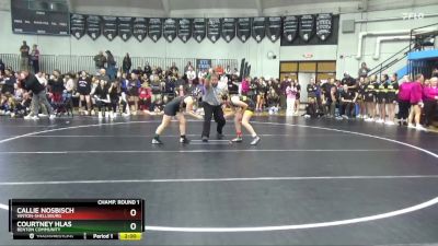 115 lbs Champ. Round 1 - Callie Nosbisch, Vinton-Shellsburg vs Courtney Hlas, Benton Community