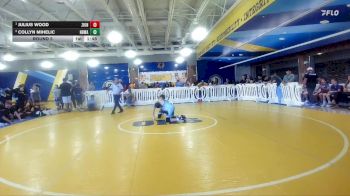 105 lbs Round 5 - Julius Wood, Funky Monkey vs Collyn Mihelic, Tampa Bay Tigers