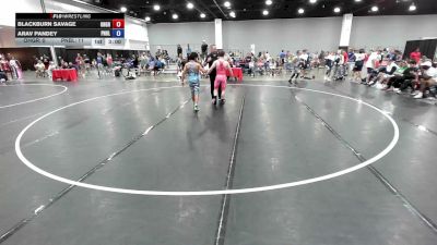 113 lbs Blackburn Savage, Ohio Gray vs Arav Pandey, Pennsylvania Blue