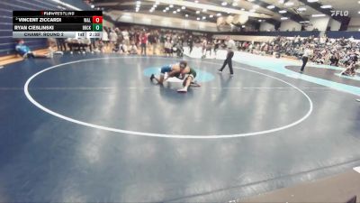 133 lbs Champ. Round 2 - Ryan Cieslinski, Brockport vs Vincent Ziccardi, Washington And Lee