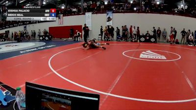 74 kg Cons. Round 3 - Joshua Palacio, Air Force Regional Training Center vs Mekhi Neal, DMV RTC