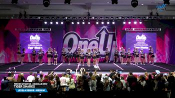 Premier Athletics - Knoxville West - Tiger Sharks [2025 L4 Senior - Medium Day 3] 2025 One Up Grand Nationals