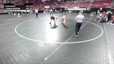 D2-138 lbs Quarterfinal - Cole Bozile, Oconto Falls vs Connor Steffens, Seymour