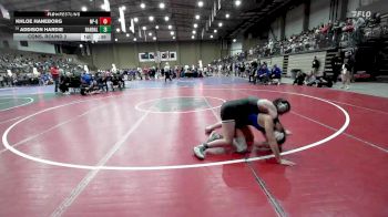 125 lbs Cons. Round 2 - Addison Hardie, Randall vs Khloe Haneborg, North Platte Girls