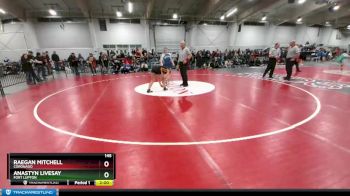 145 lbs Champ. Round 2 - Anastyn Livesay, Fort Lupton vs Raegan Mitchell, Coronado