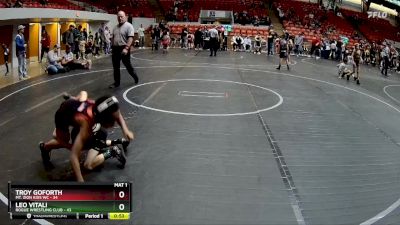 52 lbs 5th Place Match - Leo Vitali, Rogue Wrestling Club vs Troy Goforth, Mt. Zion Kids WC