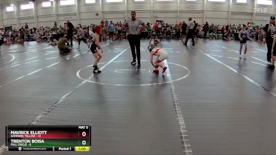 52 lbs Finals (2 Team) - Trenton Boisa, Full Circle vs Mavrick Elliott, Hammers Yellow