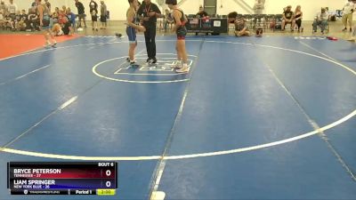 130 lbs Semis & 1st Wrestleback (8 Team) - Bryce Peterson, Tennessee vs Liam Springer, New York Blue